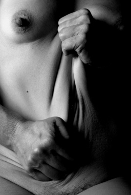 le corps élastique 2 