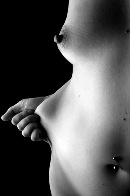 le corps élastique 5 