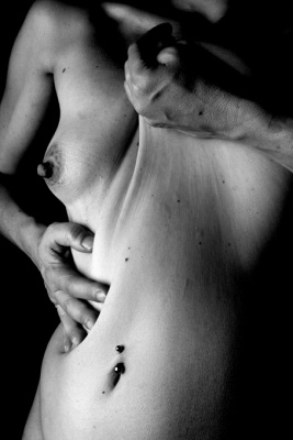 le corps élastique 7 