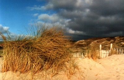 dunes de biville photo2